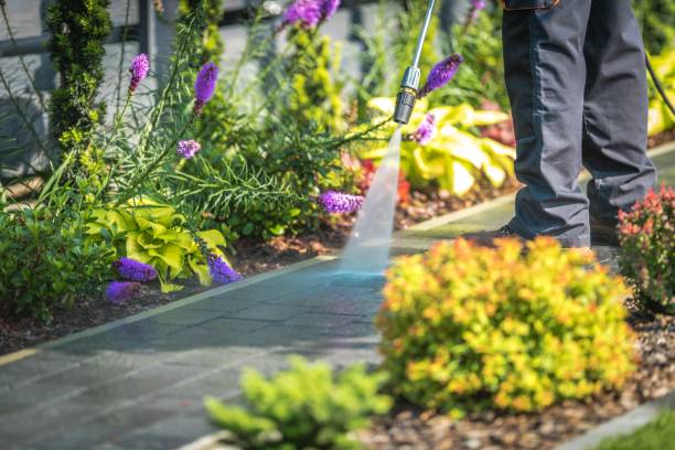Best Winterizing Services  in Holly, MI